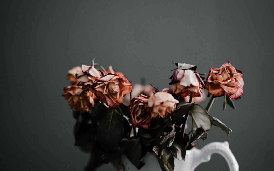 Photo: Annie Spratt on Unsplash